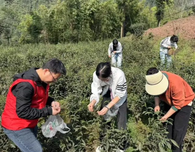 劳动教育在校园中稳步推进帮助学生成为适应时代合格人才
