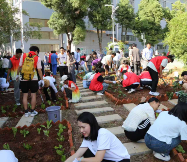 期间的劳作教育课提升了我的着手能力对我的实习工作帮助很大
