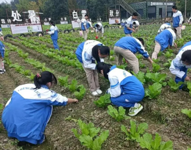 教研同步继续拓宽学子升学渠道助力广阔学子圆梦